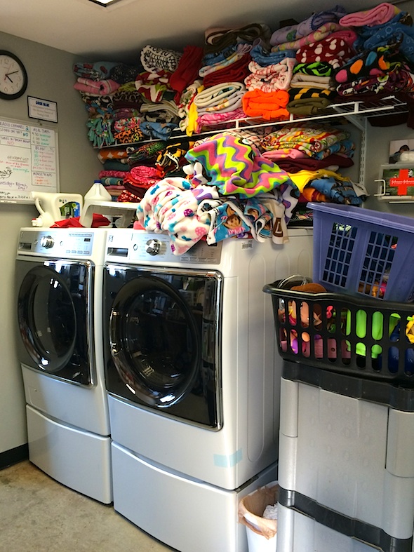 web_new_washer_dryer_barde_kd_IMG_3344