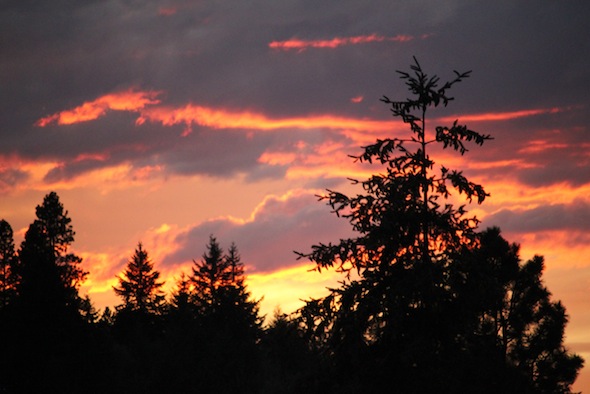 web_sunset_kd_IMG_3514