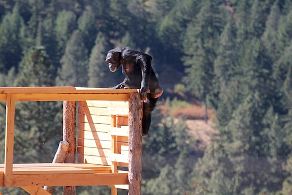 web_jamie_climb_jamies_tower_kd_IMG_4364