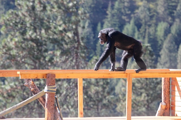 web_jamie_walk_railing_jamies_tower_kd_IMG_4365
