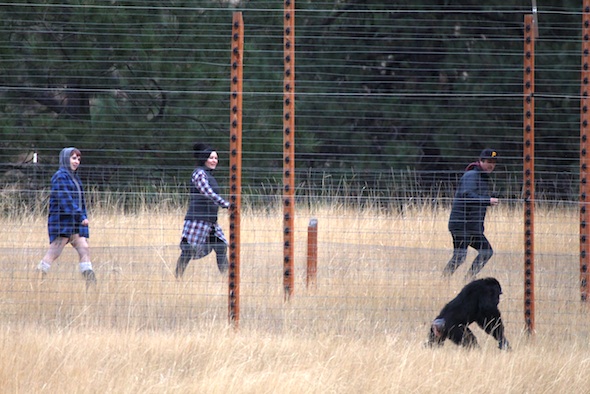 Billie Joe and Jamie taking off
