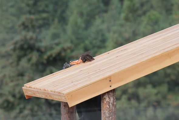 web_Foxie_dora_tower_roof_YH_jb_IMG_4564