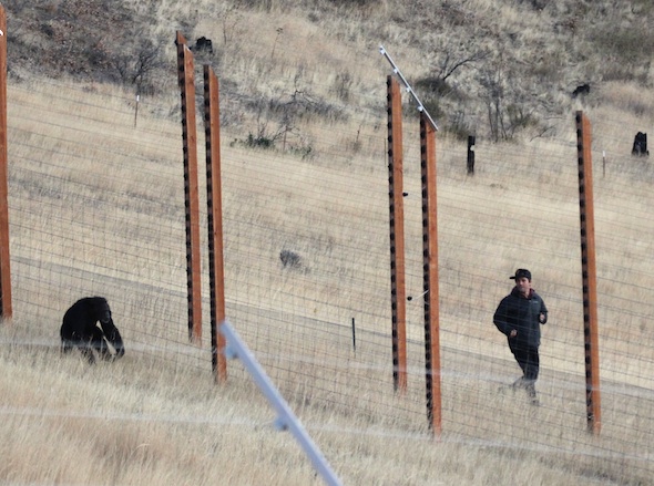Billie Joe Armstrong running with Jamie