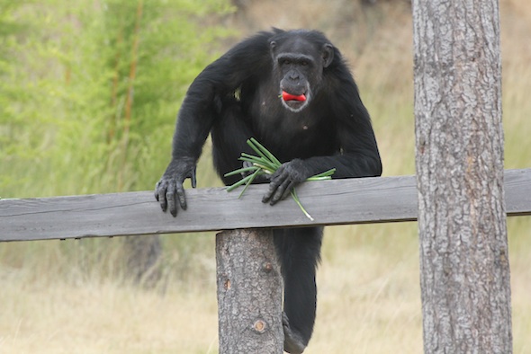 Jamie foraging