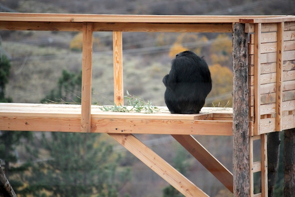 web_Missy_back_turned_sit_platform_IMG_5583