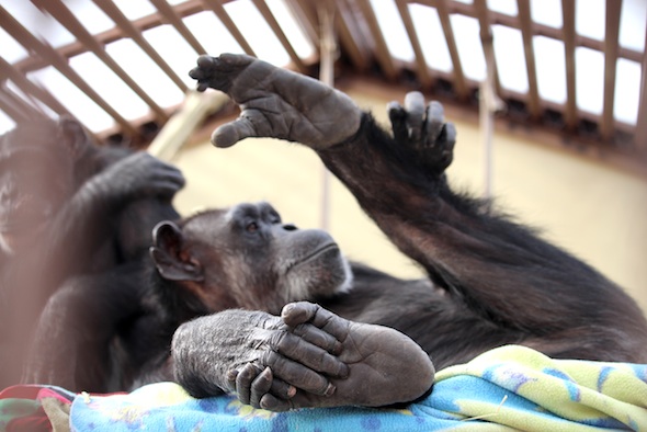 web_annie_lay_platform_feet_groom_GH_WE_IMG_9875
