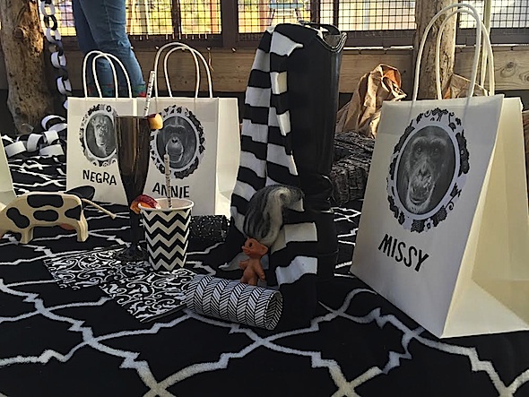 web_black_white_party_setup_aw_phone_