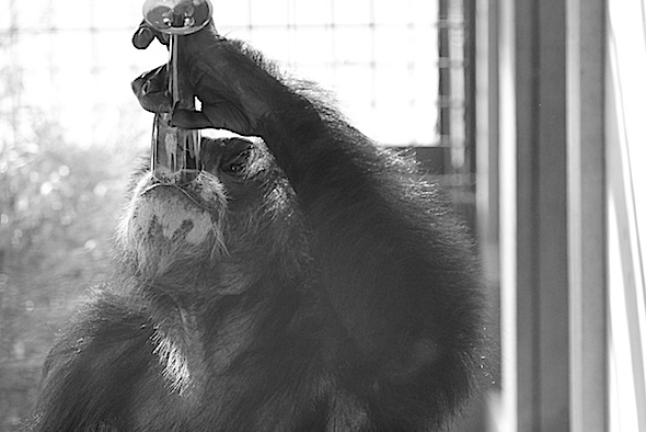 web_burrito_black_white_party_champagne_glass_gh_aw_IMG_5268