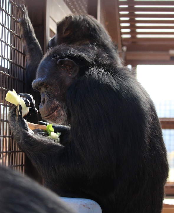 web_crop_jamie_eat_lunch_GH_WE_IMG_9386