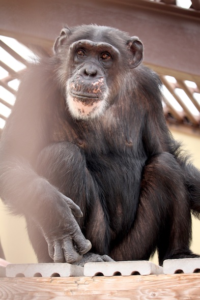 web_missy_sit_platform_GH_WE_IMG_9870