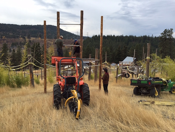 JB, Steve, and Billie Joe constructing
