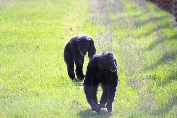 Jamie and Missy on patrol