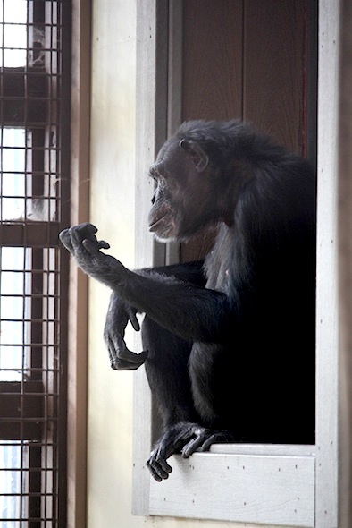 web_jamie_sit_window_GH_WE_IMG_5927