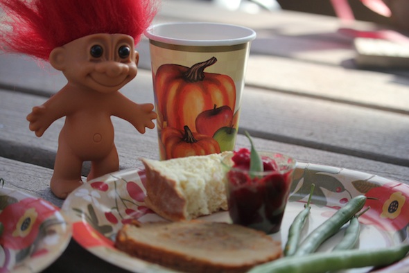 web_thanksgiving_troll_gh_aw_IMG_6794