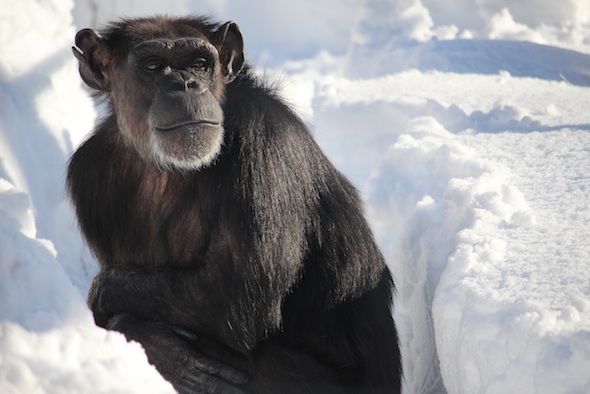 web_Annie_deep_snow_sit_yh_aw_IMG_7352