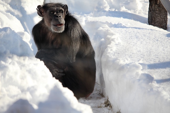 web_Annie_deep_snow_yh_aw_IMG_7344