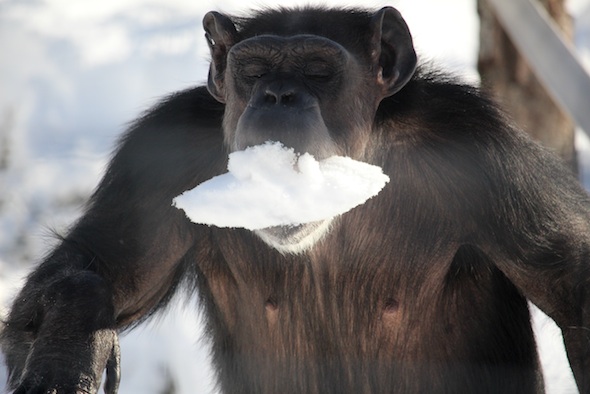 web_Annie_look_snow_mouth_yh_aw_IMG_7360
