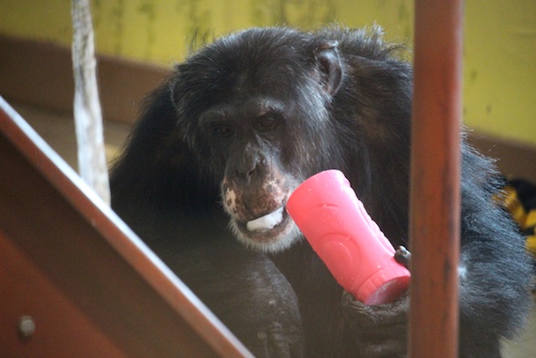 web_Burrito_eat_snow_cup_enrichment_PR_DM_IMG_7462