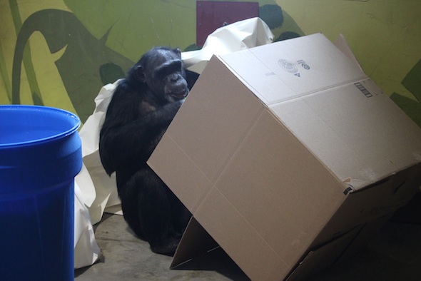 web_Jamie_inspect_pull_out_box_full_paper_enrichment_PR_ek_IMG_7244
