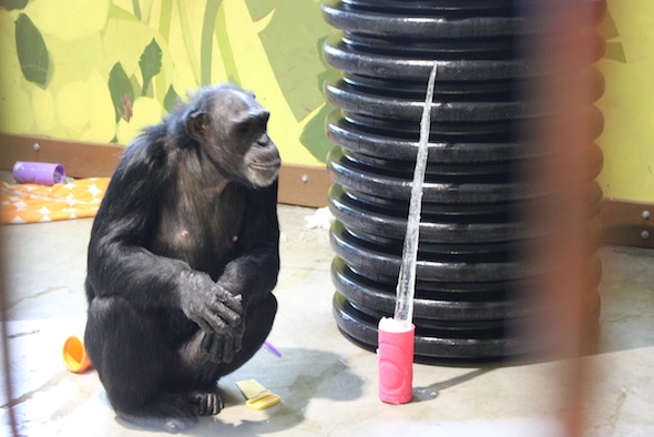 web_Jamie_sit_ground_icicle_snow_enrichment_PR_DM_IMG_7211