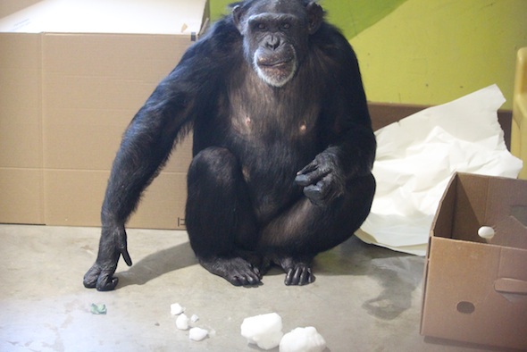 web_Jamie_sit_inspect_snowballs_with_raisins_enrichment_PR_kh_IMG_7291