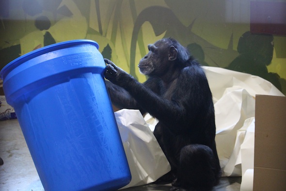 web_Jamie_sit_tip_new_barrel_full_snow_enrichment_PR_kh_IMG_7282