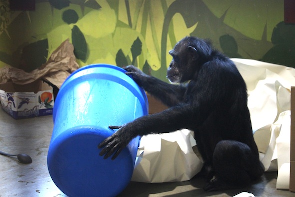 web_Jamie_sit_tip_over_new_barrel_full_snow_enrichment_PR_kh_IMG_7283
