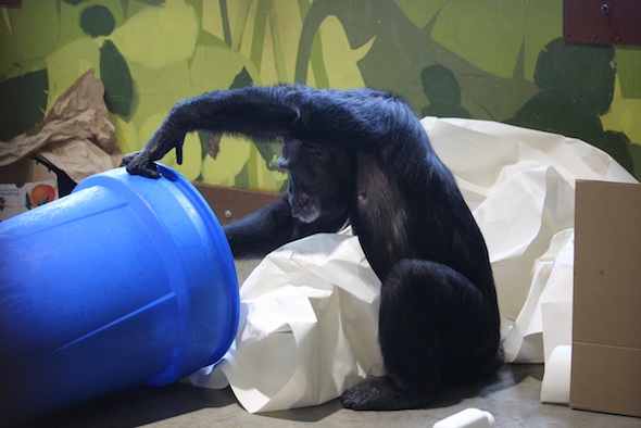 web_Jamie_sit_tip_over_new_barrel_full_snow_enrichment_PR_kh_IMG_7286