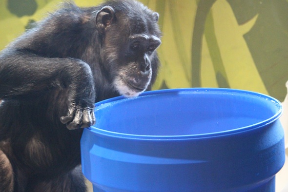 web_Missy_look_in_new_barrel_snow_enrichment_EK_IMG_7251