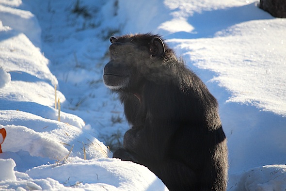 web_annie_sit_snow_see_breath_kd_IMG_7612