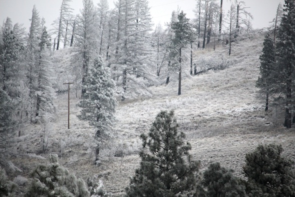 web_frost_hill_aw_IMG_0815