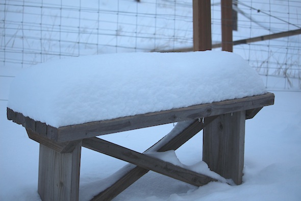 web_snow_property_winter_bench_dg_IMG_7210