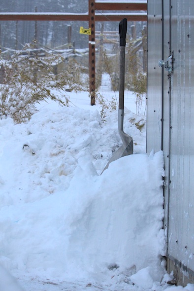 web_snow_winter_property_bank_outside_greenhouse_dg_IMG_7216