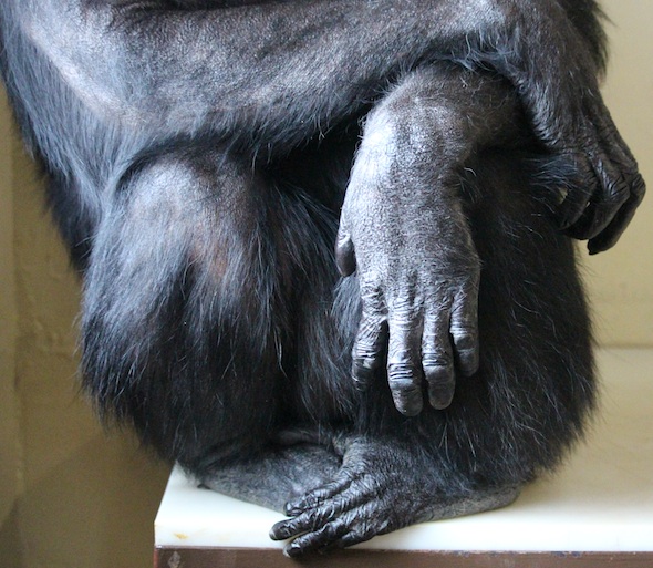 web_annie_hands_feet_sit_fr4_kd_IMG_8308