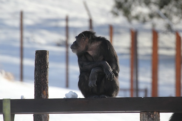 web_annie_profile_platform_snowy_yh_kd_IMG_7412