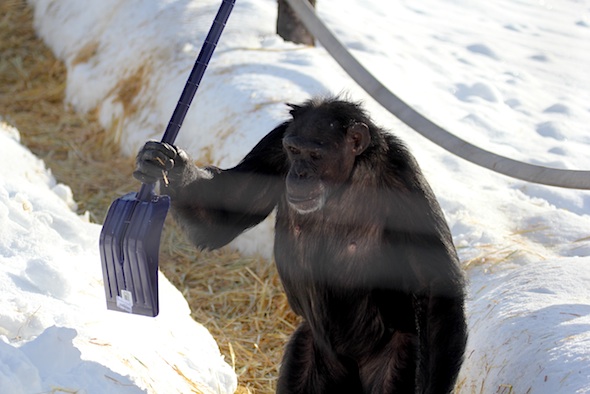 web_jamie_closeup_shovel_snow_kd_IMG_7414