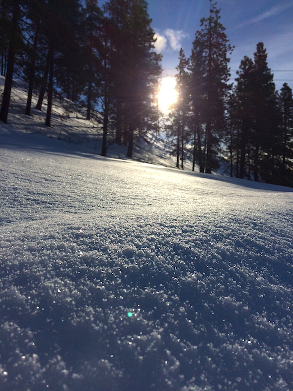 web_sunrise_yh_snow_sparkle_kd_IMG_5982