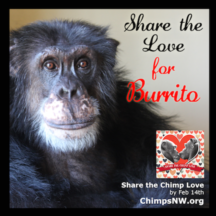 Share the Love for Burrito