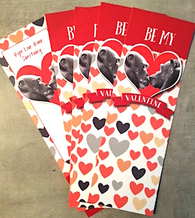 bookmarks_real