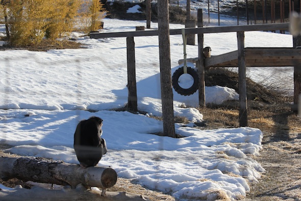 web_Annie_sit_log_triangle_snow_YH_ek_IMG_7705