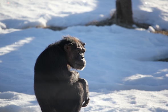 web_Annie_sit_log_triangle_snow_YH_ek_IMG_7706