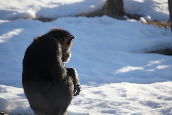 web_Annie_sit_log_triangle_snow_YH_ek_IMG_7712
