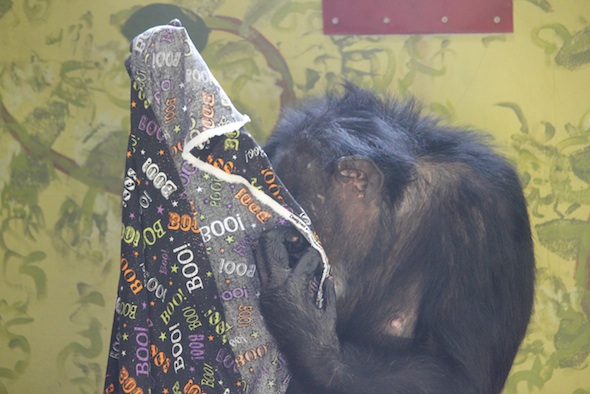 web_Jamie_inspect_cloth_enrichment_PR_ek_IMG_7625