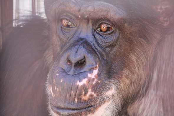 web_Missy_closeup_face_GH_kh_IMG_4744