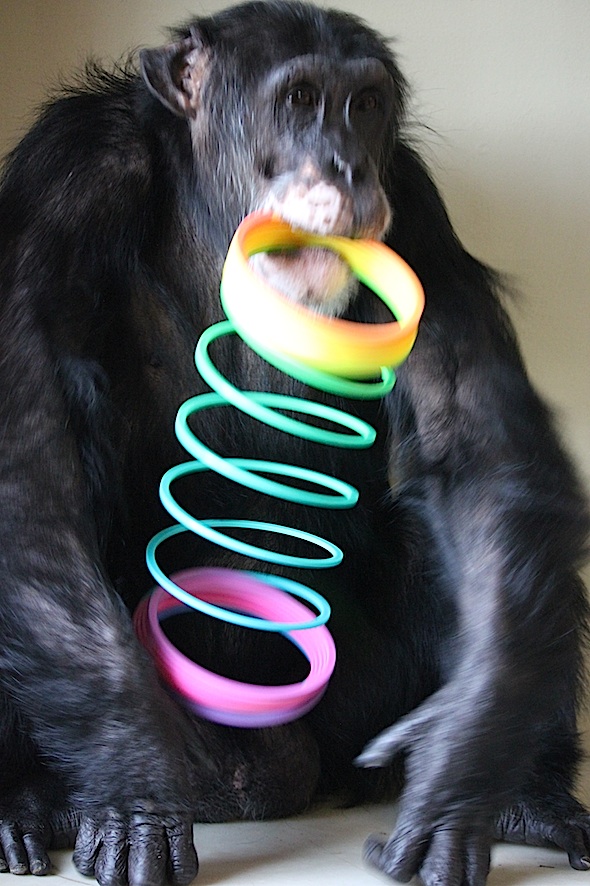 web_burrito_slinky_fr4_II_kd_IMG_7742