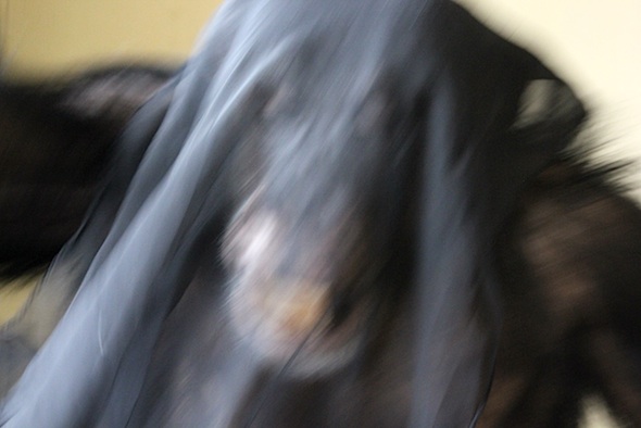 web_burrito_veil_play_XII_kd_IMG_7618
