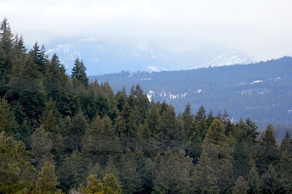 web_view_from_top_yh_mountains_kd_IMG_9158