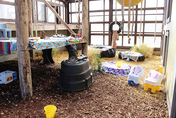 web_Easter_eggs_baskets_boxes_setup_GH_kh_IMG_0463