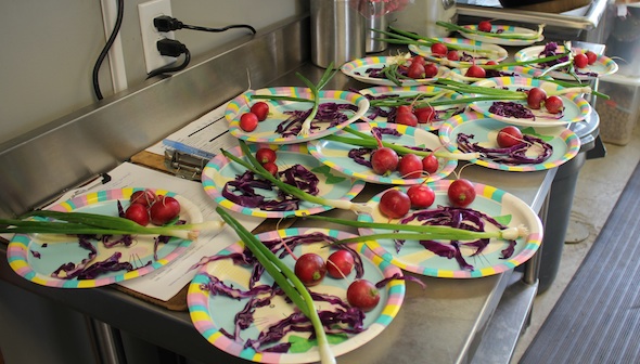 web_Easter_partial_lunch_cabbage_radishes_green_onions_IMG_9919