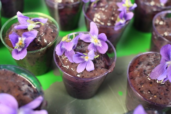 web_Easter_smoothie_violets_IMG_0452